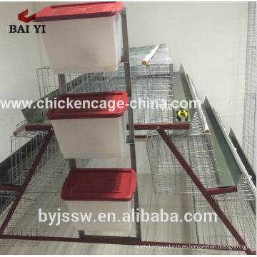 Alimentación automática y bebida Granja de pollo Jaulas de batería Colocación de gallinas